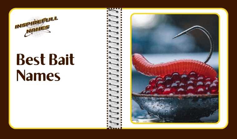 Best Bait Names