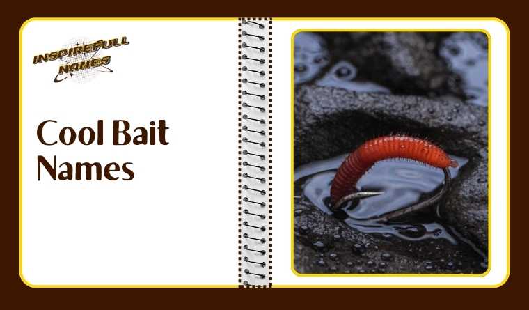 Cool Bait Names
