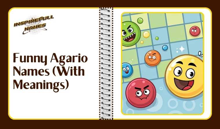 Funny Agario Names (With Meanings)