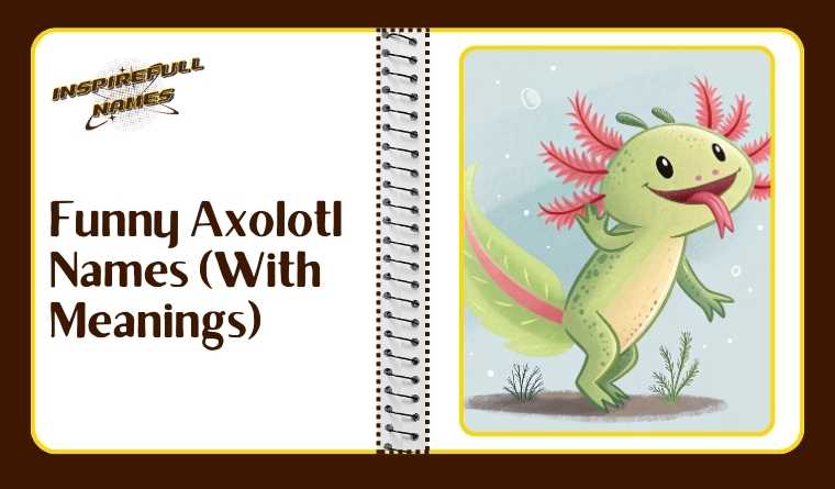 Funny Axolotl Names (With Meanings)