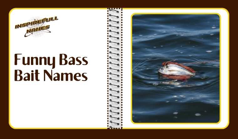 Funny Bass Bait Names