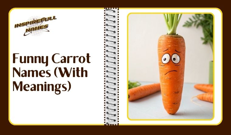 Funny Carrot Names (With Meanings)