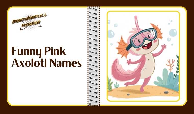 Funny Pink Axolotl Names