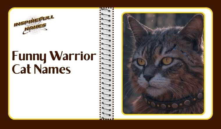 Funny Warrior Cat Names