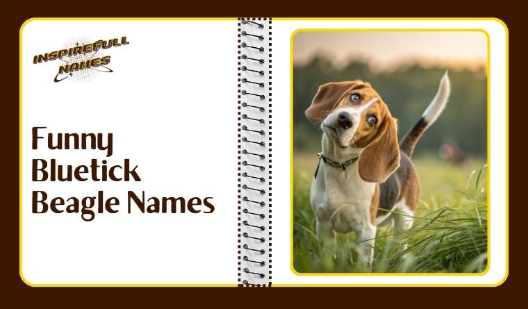 Funny Bluetick Beagle Names