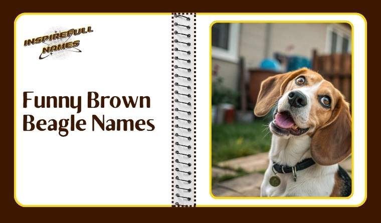 Funny Brown Beagle Names
