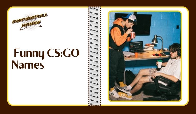  Funny CS:GO Names 