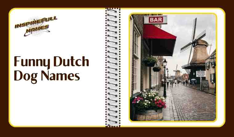 Funny Dutch Dog Names