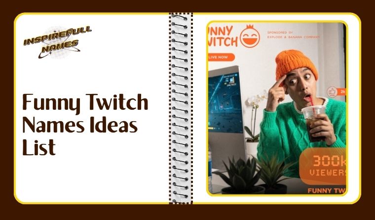 Funny Twitch Names Ideas List