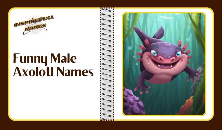 Funny Male Axolotl Names