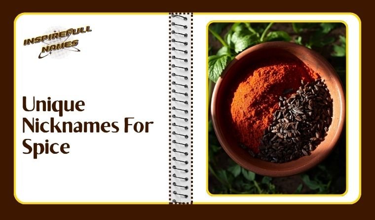 Unique Nicknames For Spice