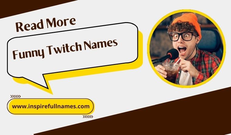 Funny Twitch Names