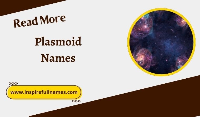 Plasmoid Names
